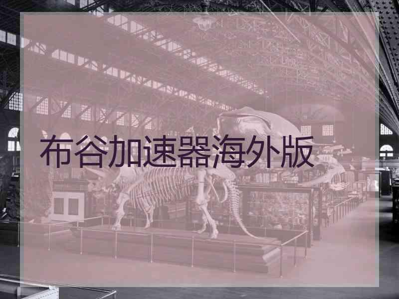 布谷加速器海外版