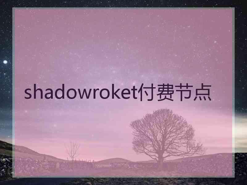 shadowroket付费节点