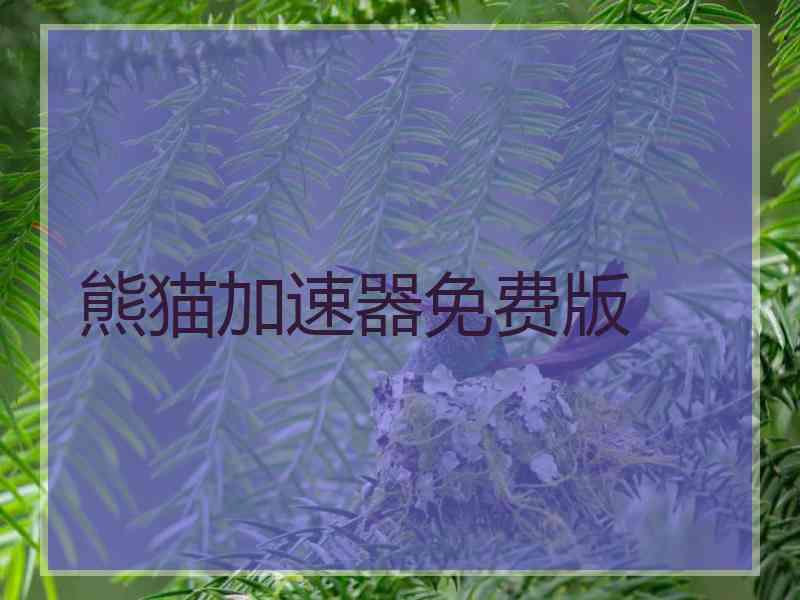 熊猫加速器免费版