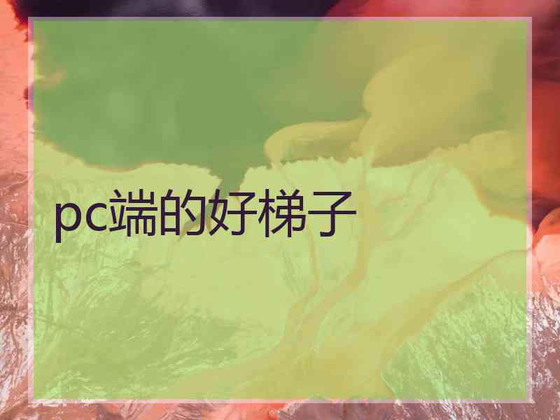 pc端的好梯子
