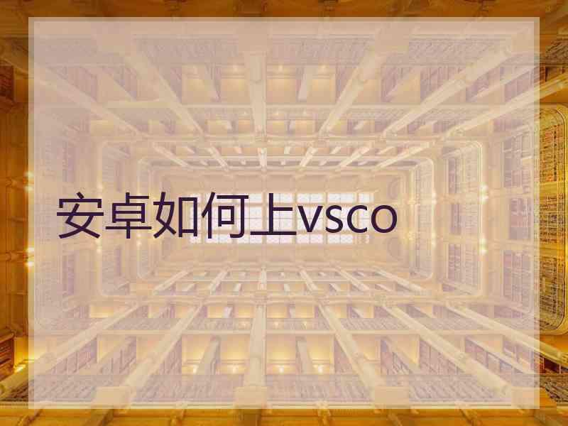 安卓如何上vsco