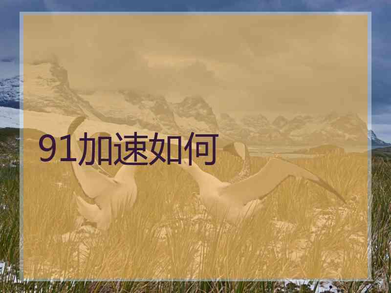 91加速如何