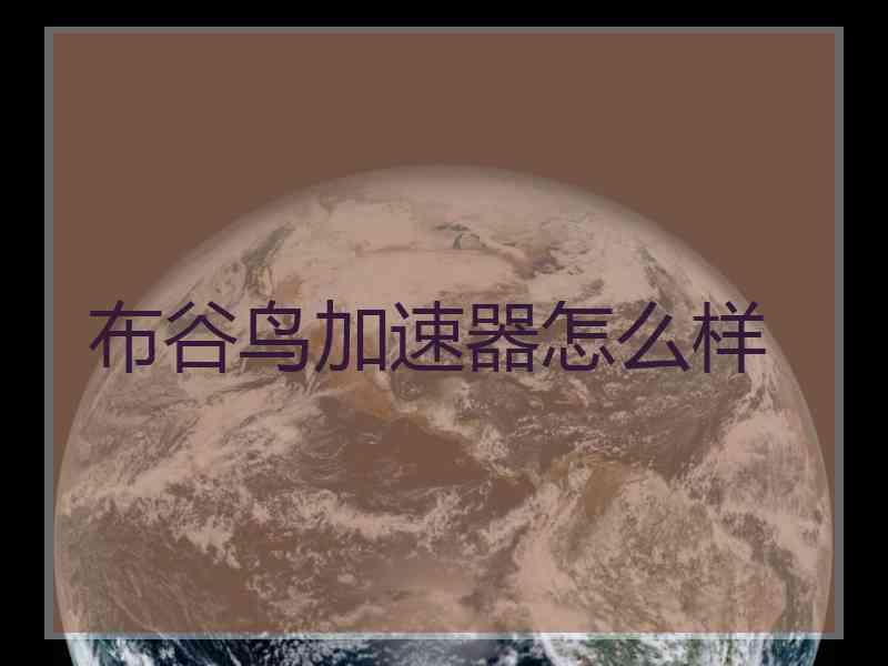布谷鸟加速器怎么样