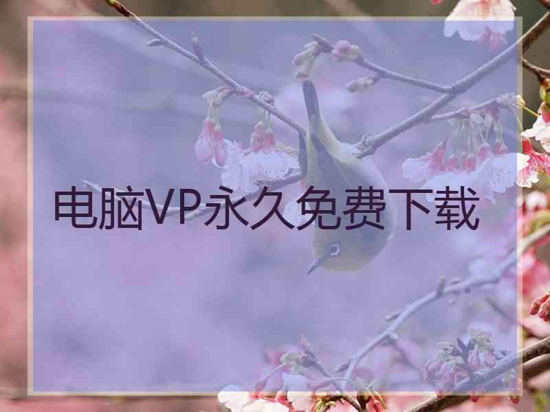 电脑VP永久免费下载