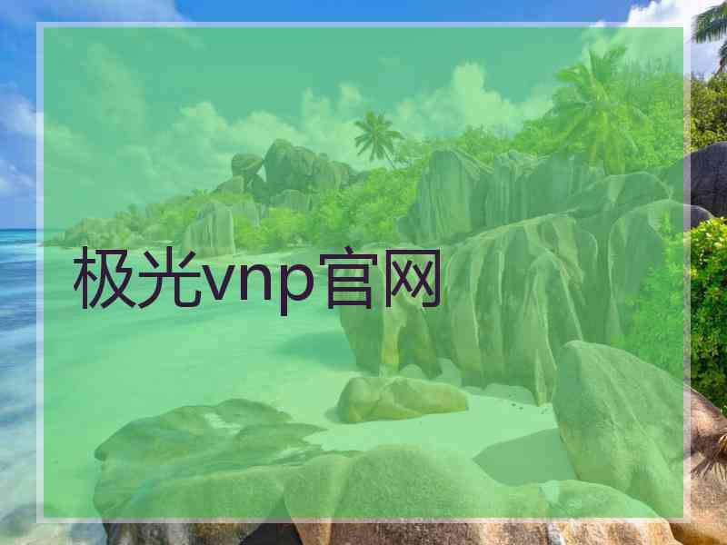 极光vnp官网