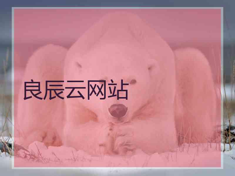 良辰云网站