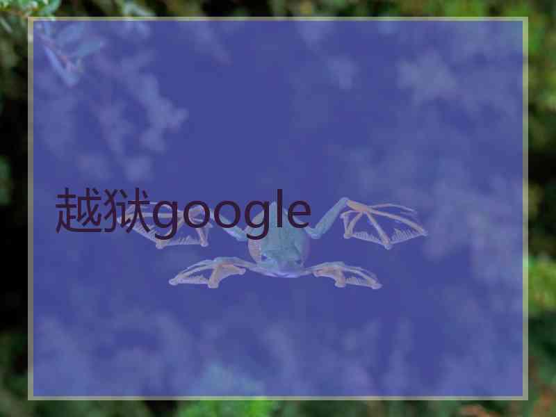 越狱google