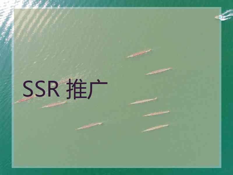 SSR 推广