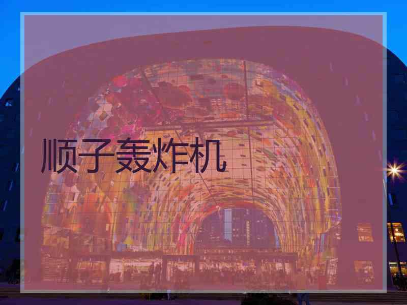 顺子轰炸机