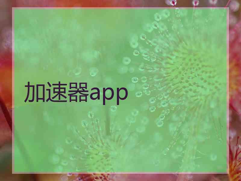 加速器app