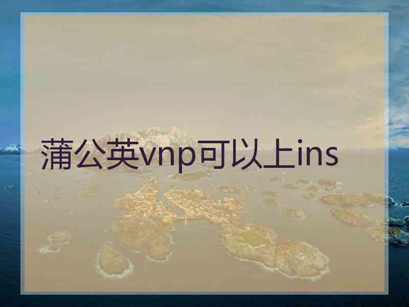 蒲公英vnp可以上ins