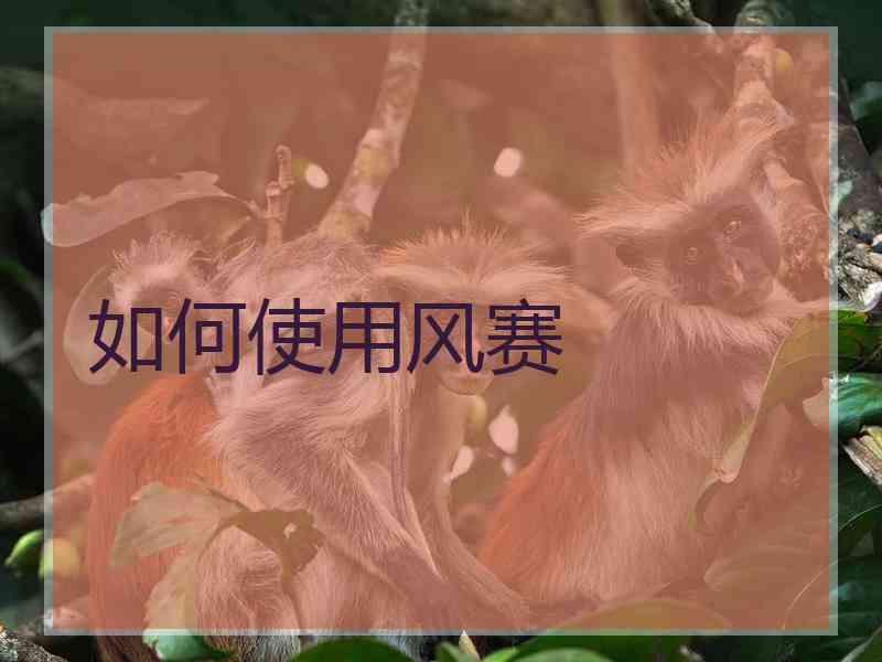 如何使用风赛