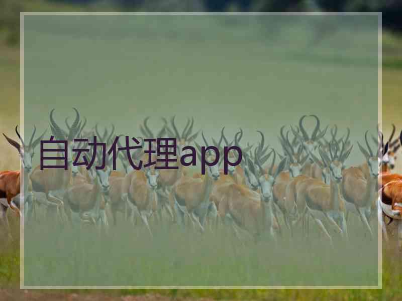 自动代理app