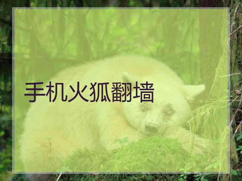 手机火狐翻墙