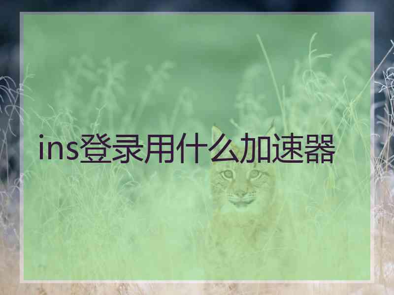 ins登录用什么加速器