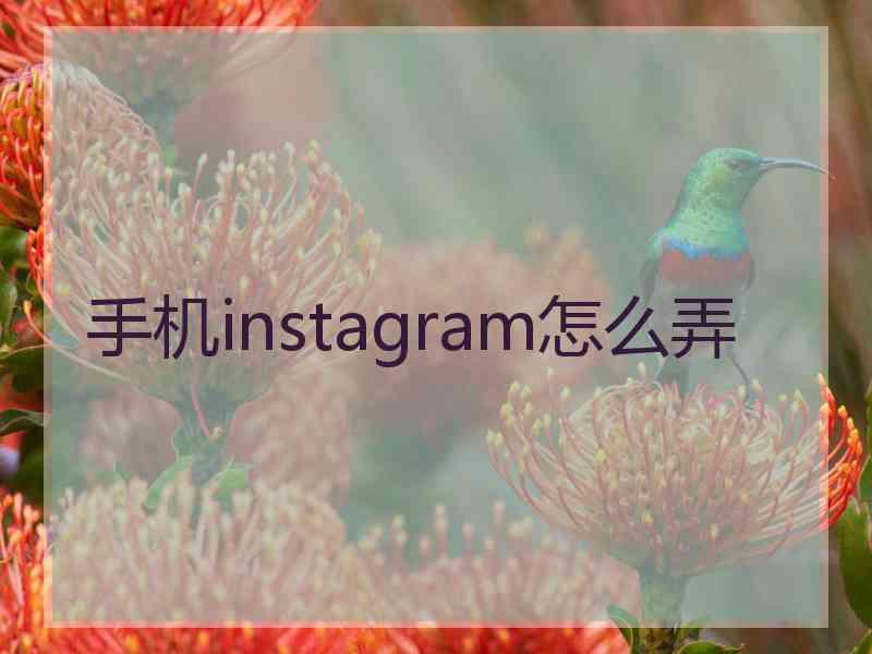 手机instagram怎么弄