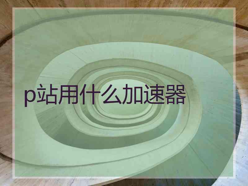 p站用什么加速器