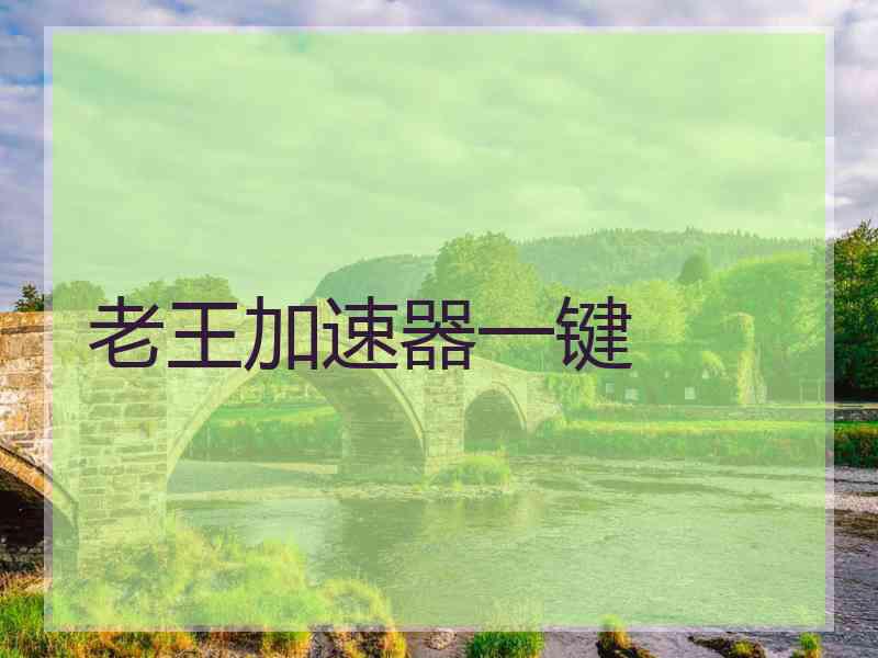 老王加速器一键