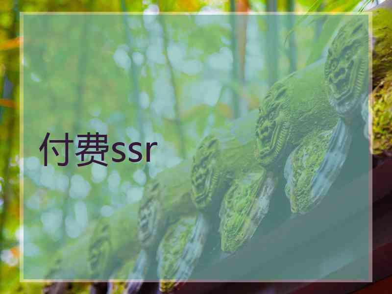 付费ssr