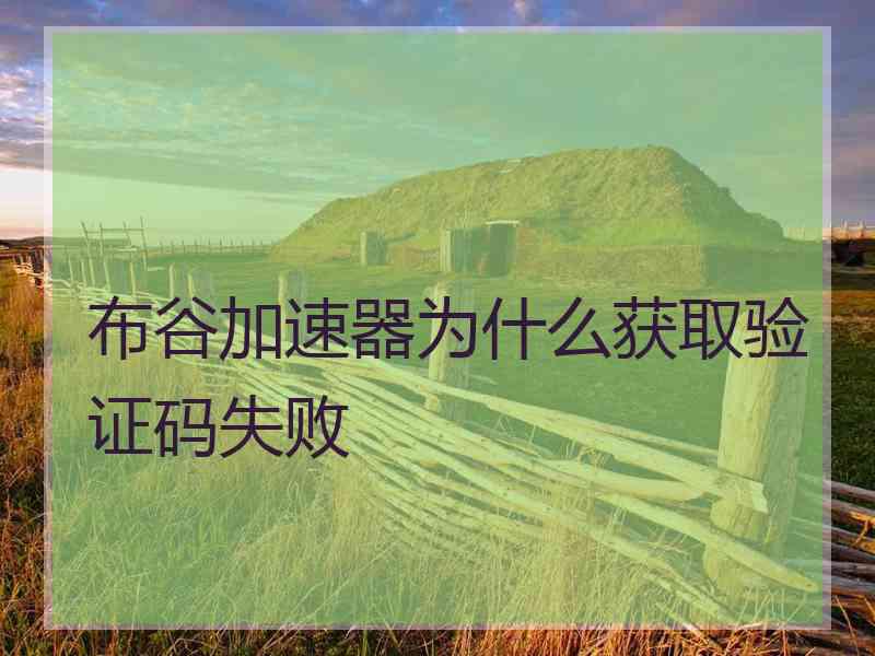 布谷加速器为什么获取验证码失败