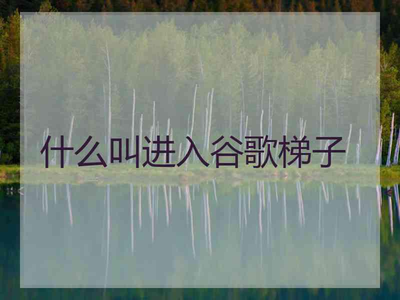 什么叫进入谷歌梯子