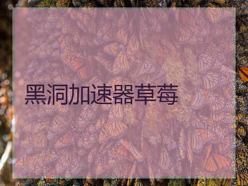 黑洞加速器草莓