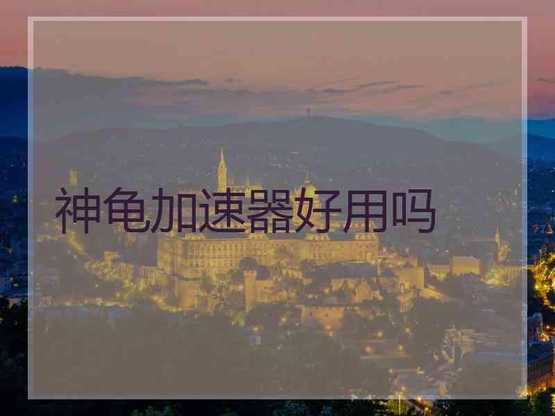神龟加速器好用吗