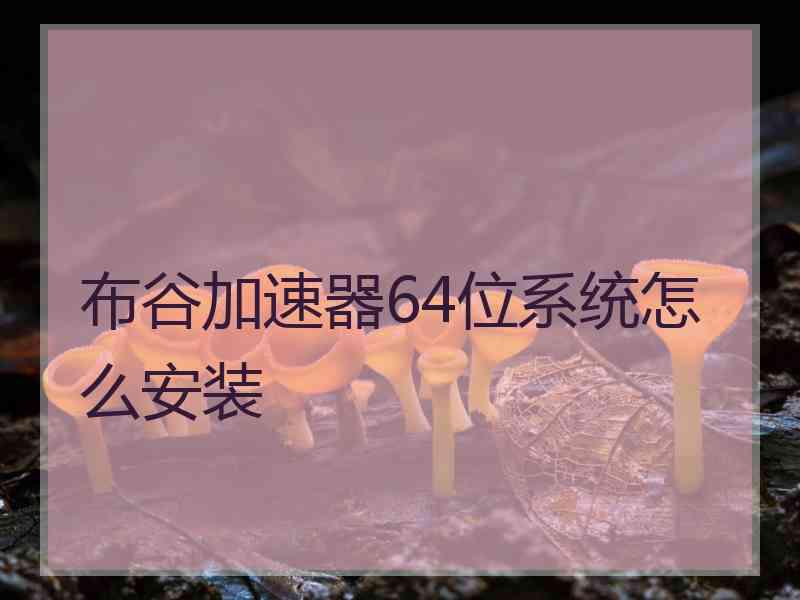 布谷加速器64位系统怎么安装