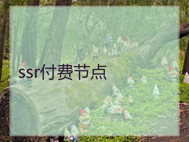 ssr付费节点