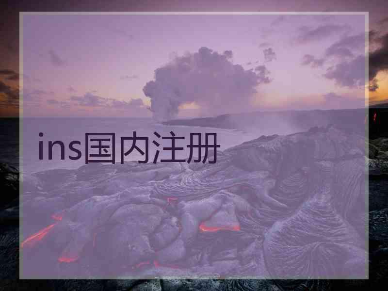 ins国内注册