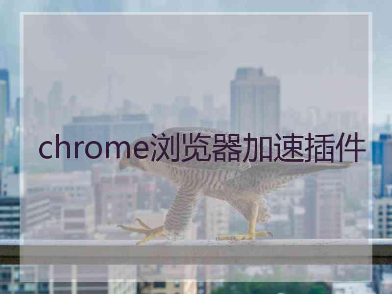 chrome浏览器加速插件