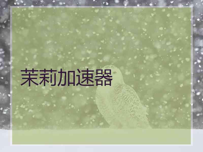 茉莉加速器