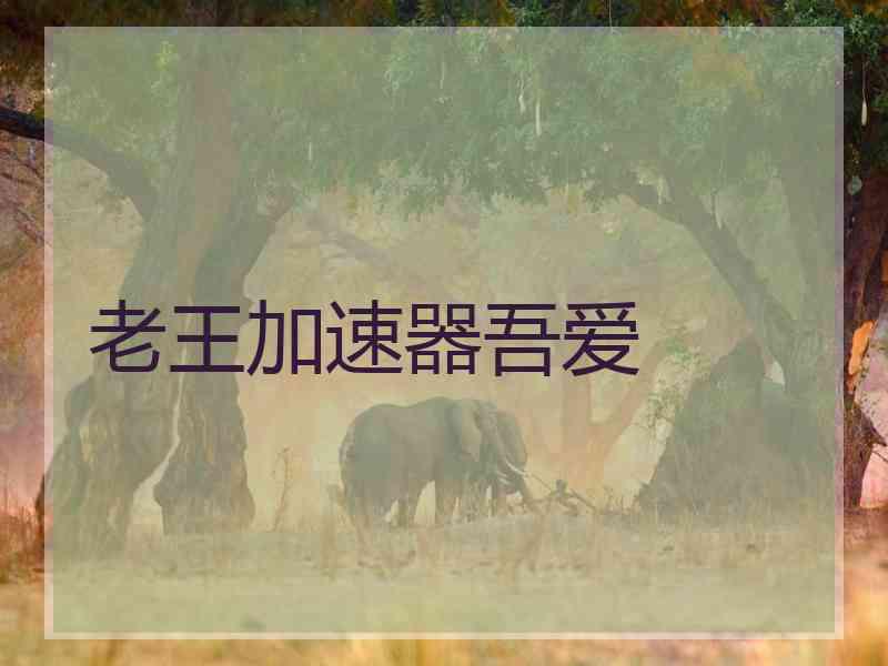 老王加速器吾爱