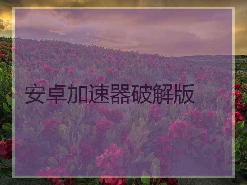安卓加速器破解版