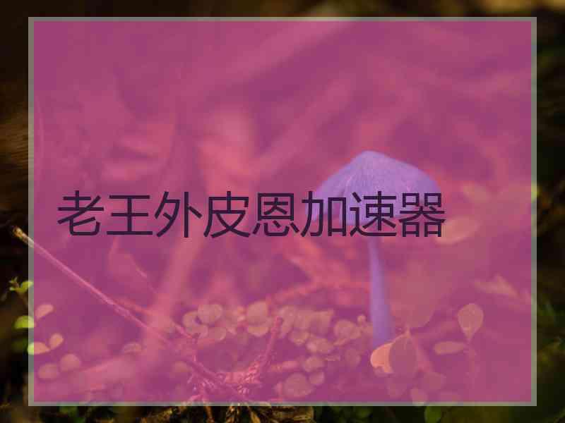 老王外皮恩加速器