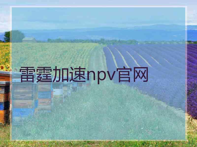 雷霆加速npv官网