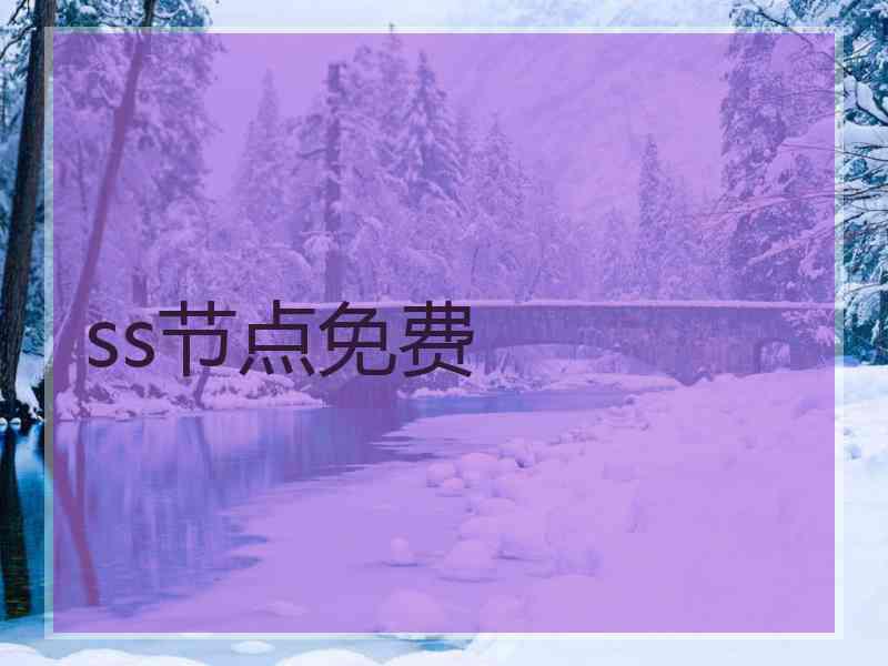 ss节点免费