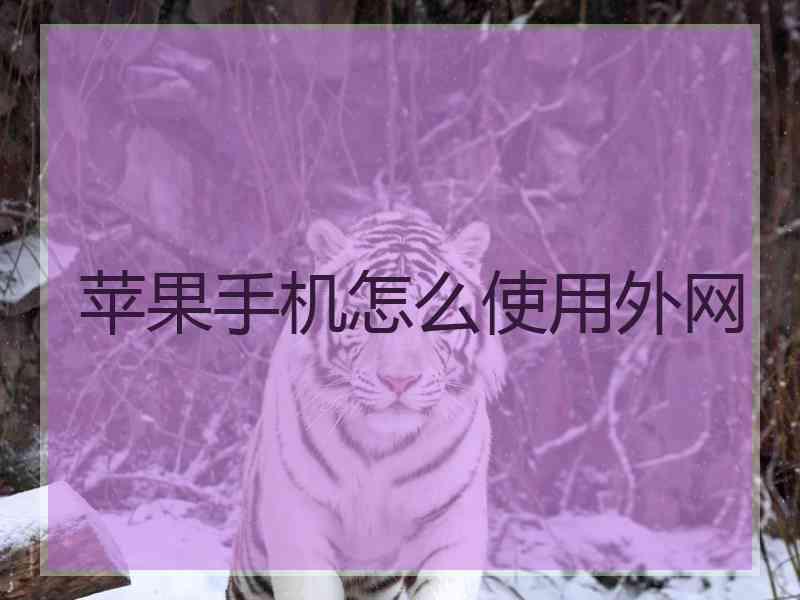 苹果手机怎么使用外网