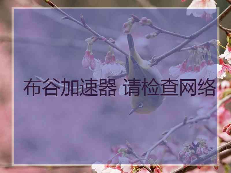 布谷加速器 请检查网络
