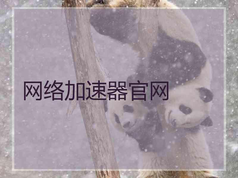 网络加速器官网