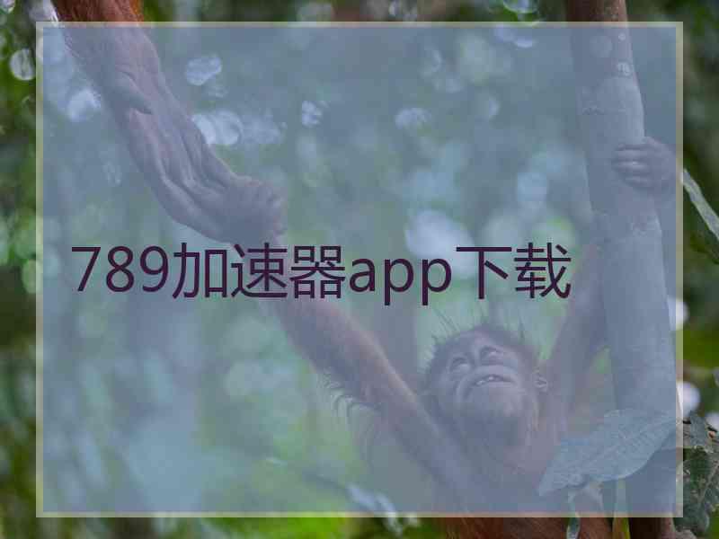 789加速器app下载