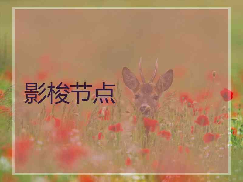 影梭节点