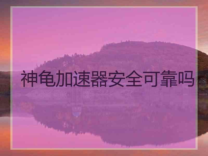 神龟加速器安全可靠吗