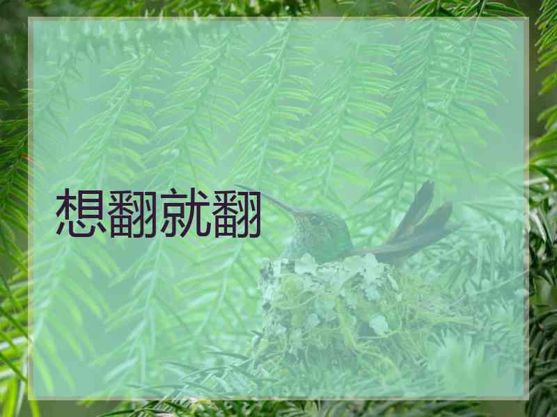 想翻就翻