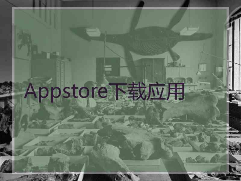 Appstore下载应用