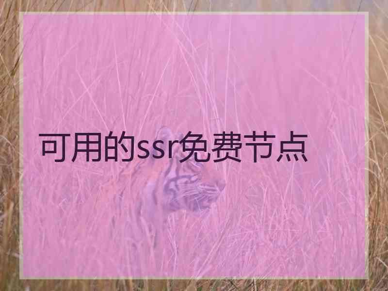 可用的ssr免费节点
