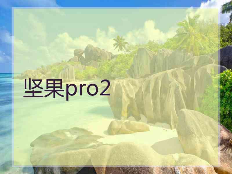 坚果pro2