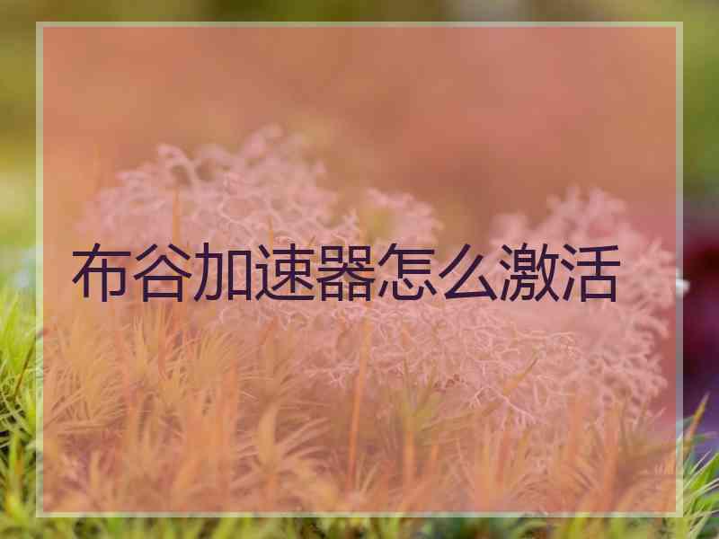 布谷加速器怎么激活