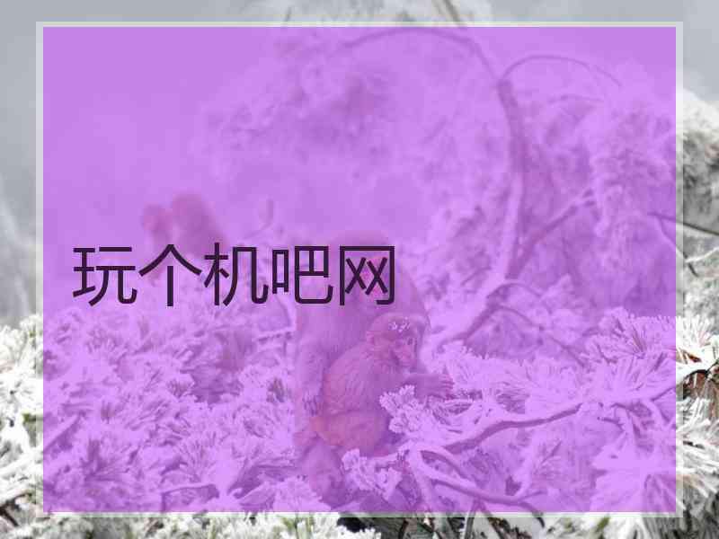 玩个机吧网