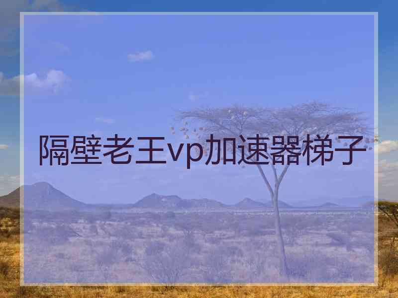 隔壁老王vp加速器梯子